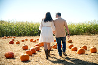 11685462 - Jocelynn & Noah Esession